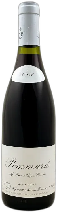 vue du vin Leroy Pommard