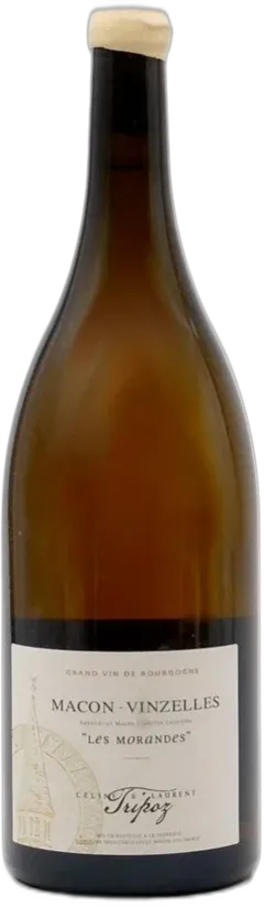 capture du vin les Morandes