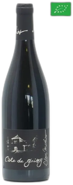 vue du vin Côte de Grisey