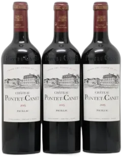 aperçu du vin Pontet Canet