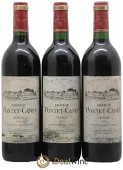 aperçu du vin Pontet Canet