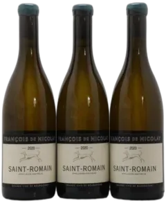 vue du vin François de Nicolay