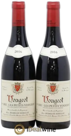 vue du vin les Petits Vougeot