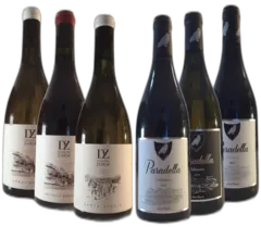 photo du vin Assortiment Paradella Zuria Patrimonio Igp Ile de Beauté