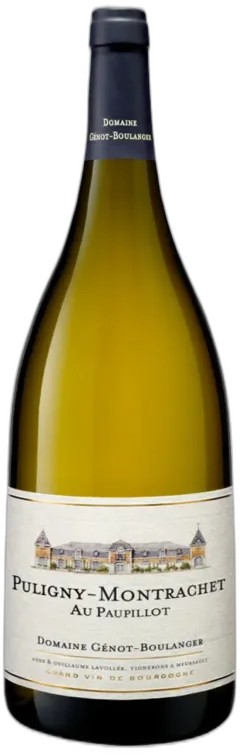 vue du vin au Papillot Magnum