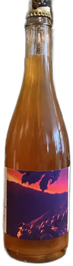 vue du vin 11h11 Cyril Villemonte