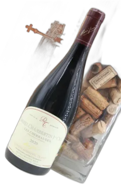 image du vin Gevrey Chambertin 'les Cherbaudes' 1er Cru, Rossignol Trapet