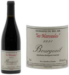vue du vin Bourgueil "les Marsaules"
