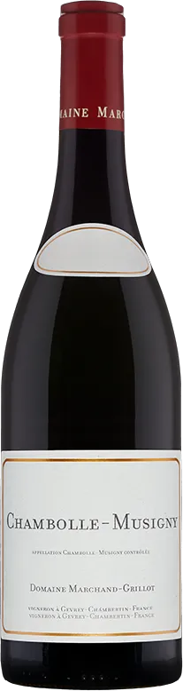 capture du vin Chambolle Musigny Domaine Marchand-Grillot