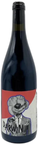 image du vin Darwin Cabernet