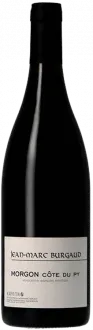 vue du vin Morgon Côte du py 2024 Jean-Marc Burgaud