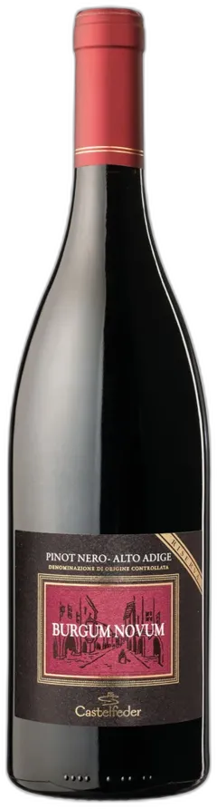 illustration du vin Südtirol Alto Adige Doc Cabernet Riserva Burgum Novum Castelfeder 2020