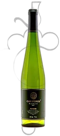 vue du vin Blanc Selecció