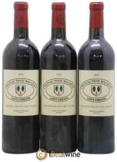 image du vin Pavie Macquin
