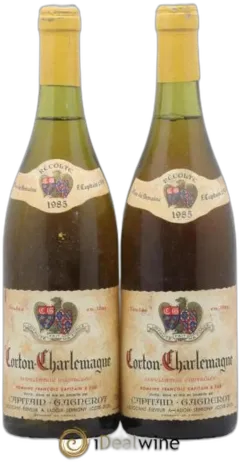 vue du vin Capitain-Gagnerot