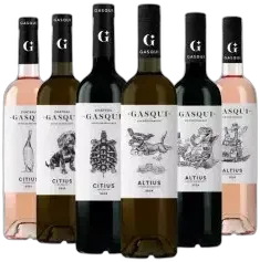 image du vin Découverte Château Gasqui