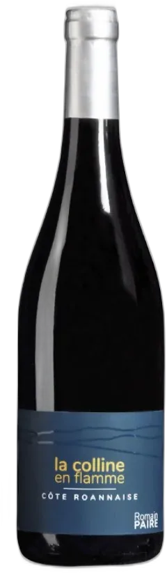 photos du vin Romain Paire Vdf Gamay st Romain