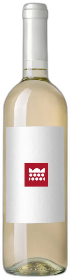 vue du vin Charpentrie Blanc