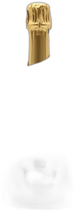 vue du vin Ruinart Blanc de Blancs Brut