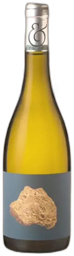 photo du vin Domaine Bersan Saint-Bris 2023