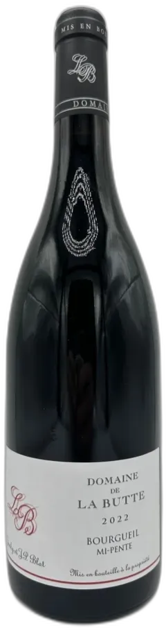 photo du vin Bourgueil mi-Pente Domaine de la Butte Jacky Blot