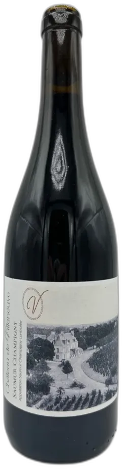 vue du vin Saumur Champigny 2023