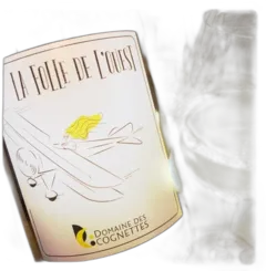 image du vin la Folle de l’Ouest 2024 Bio Loire Domaine des Cognettes