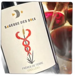 photo du vin Frères de Terre 2024 Bio Loire Domaine Sagesse des Sols