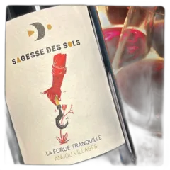 photo du vin la Forge Tranquille 2022 Bio Loire Domaine Sagesse des Sols