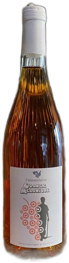 photos du vin Fermenterre Melonique Vin de France