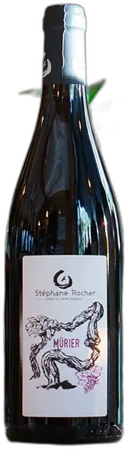 photo du vin Mûrier