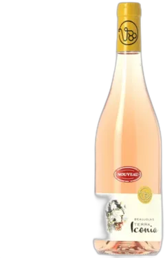 photo du vin Terra Iconia