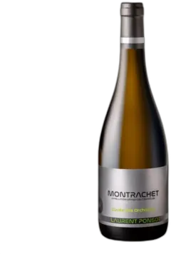 vue du vin Laurent Ponsot Montrachet Grand Cru
