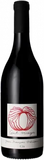 photo du vin Cent Visages 2023 Jean-François Mérieau