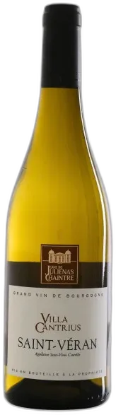 vue du vin Chaintré