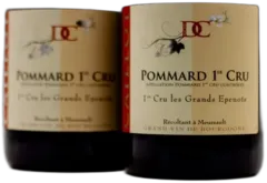 image du vin Les Grands Epenots