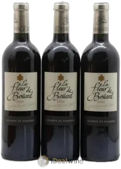 photo du vin Château la Fleur de Boüard