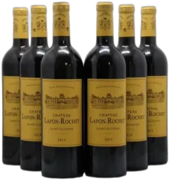 illustration du vin Château Lafon Rochet