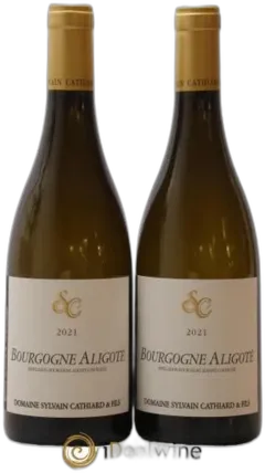 illustration du vin Bourgogne Aligoté