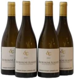 illustration du vin Bourgogne Aligoté