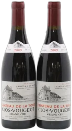 vue du vin Clos de Vougeot Grand Cru Château de la Tour