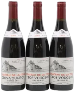 vue du vin Clos de Vougeot Grand Cru Château de la Tour