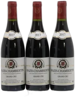 vue du vin Mazis-Chambertin Grand Cru Harmand-Geoffroy