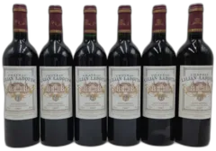 vue du vin Lilian Ladouys