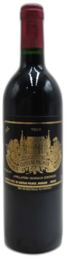 vue du vin Château Palmer