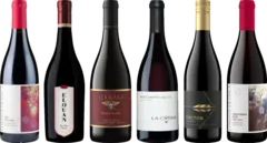 illustration du vin Pinot Noir Premium