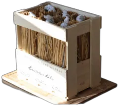 photo du vin 6 Lieux-Dits