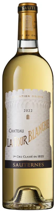 vue du vin la Tour Blanche