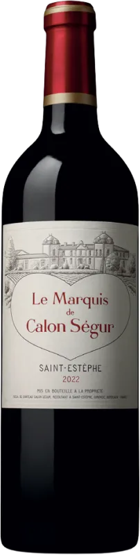 vue du vin le Marquis de Calon