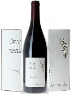 photo du vin Hautes Côtes de Beaune Orchis Mascula Rouge 2023 Claire Naudin Mag